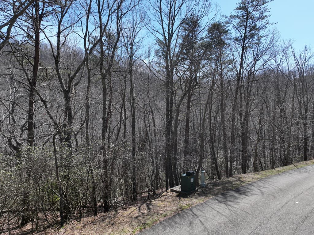 200 Stone Cliff Drive, Ellijay GA 30536 - Photo