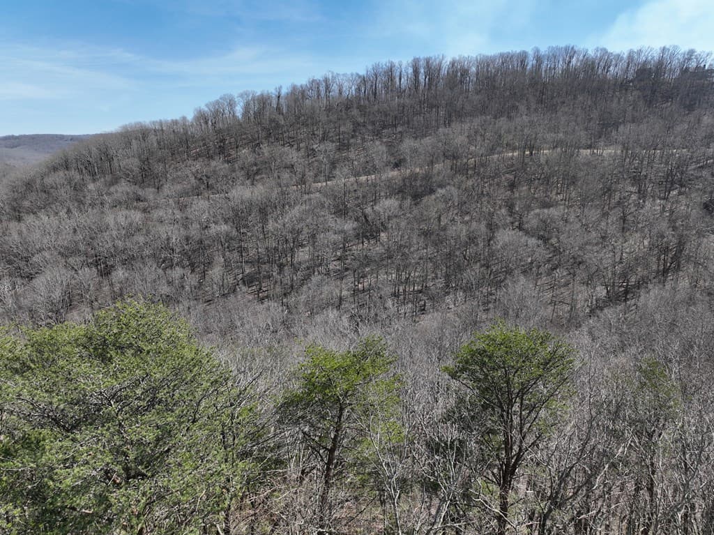 200 Stone Cliff Drive, Ellijay GA 30536 - Photo