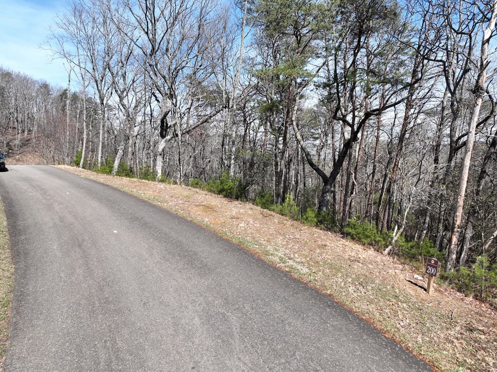 200 Stone Cliff Drive, Ellijay GA 30536 - Photo