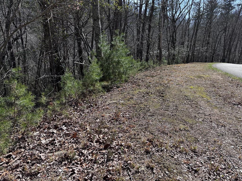 200 Stone Cliff Drive, Ellijay GA 30536 - Photo