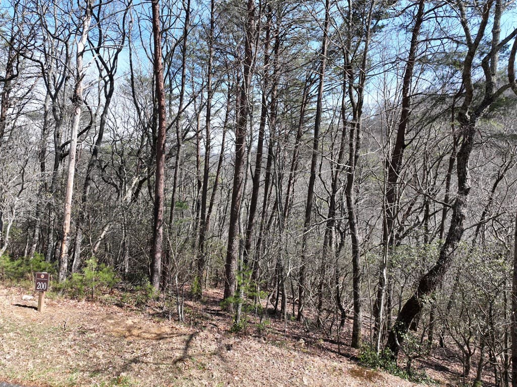 200 Stone Cliff Drive, Ellijay GA 30536 - Photo