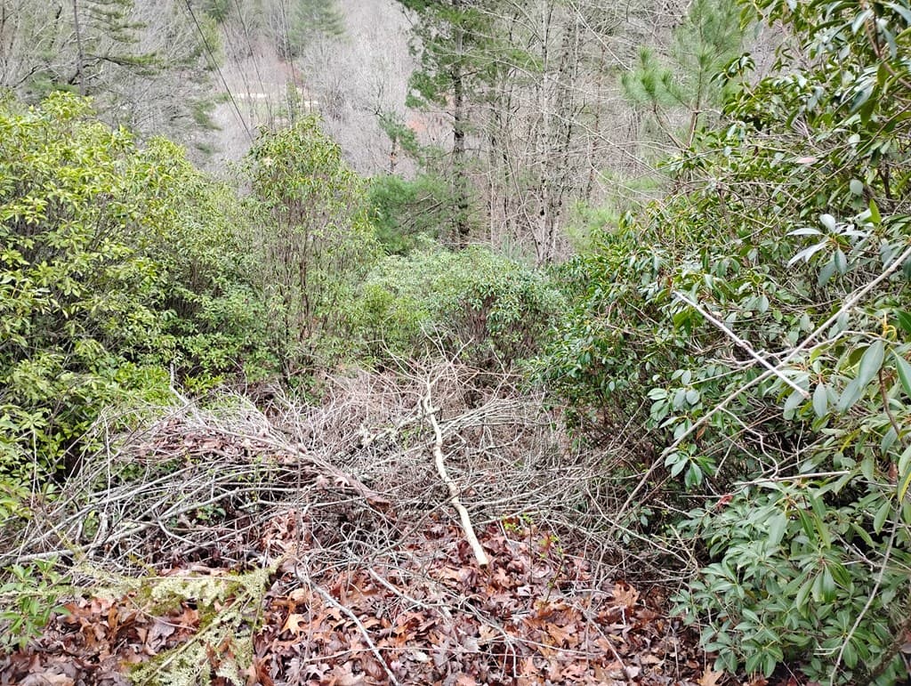Lt 166 Shenendoa Dr., Ellijay GA 30540 - Photo