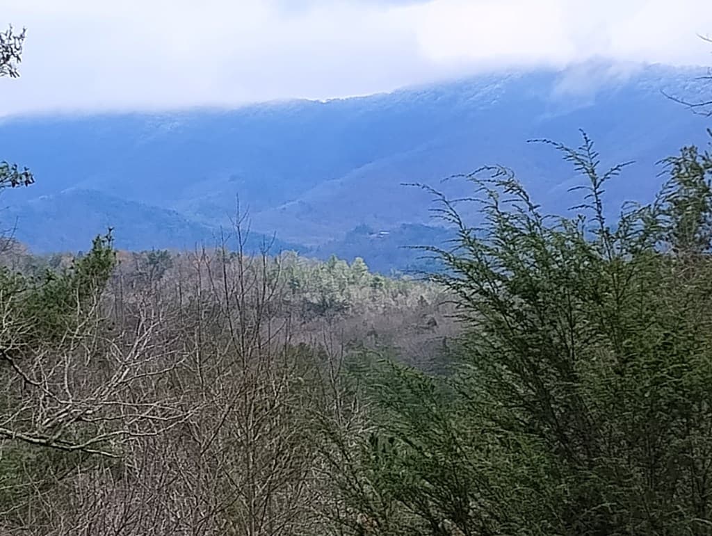 Lt 166 Shenendoa Dr., Ellijay GA 30540 - Photo