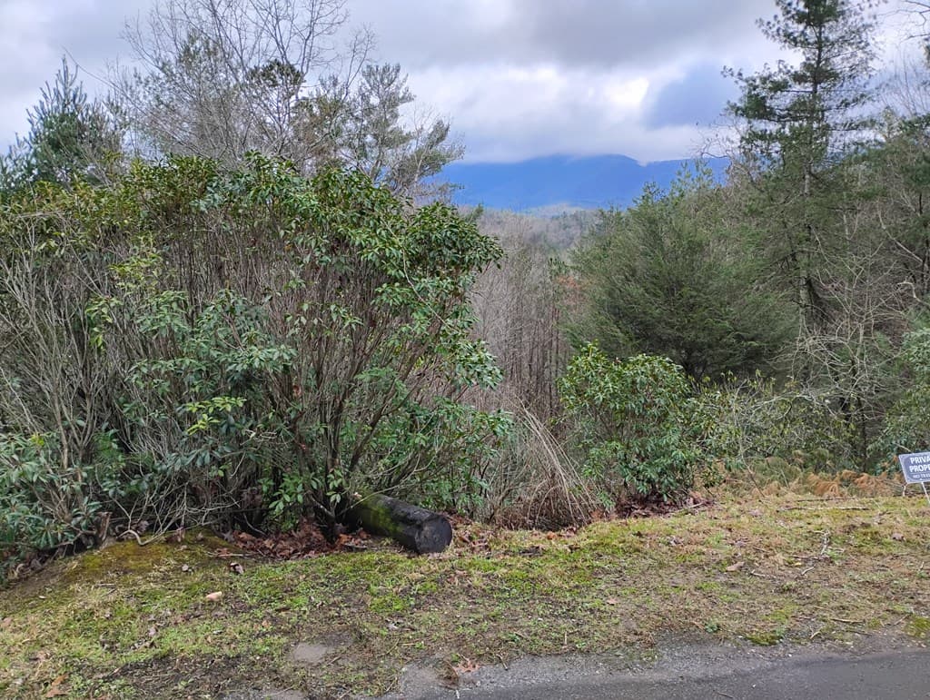 Lt 166 Shenendoa Dr., Ellijay GA 30540 - Photo
