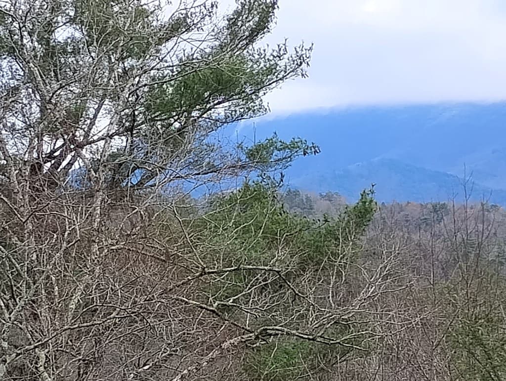 Lt 166 Shenendoa Dr., Ellijay GA 30540 - Photo