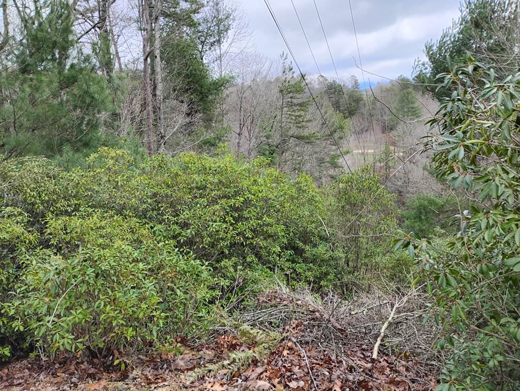 Lt 166 Shenendoa Dr., Ellijay GA 30540 - Photo