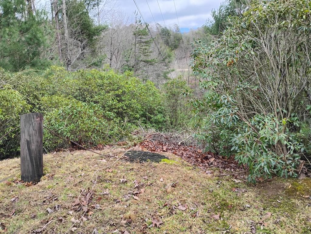 Lt 166 Shenendoa Dr., Ellijay GA 30540 - Primary photo