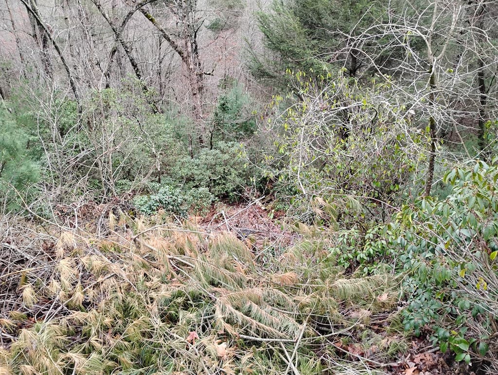 Lt 166 Shenendoa Dr., Ellijay GA 30540 - Photo