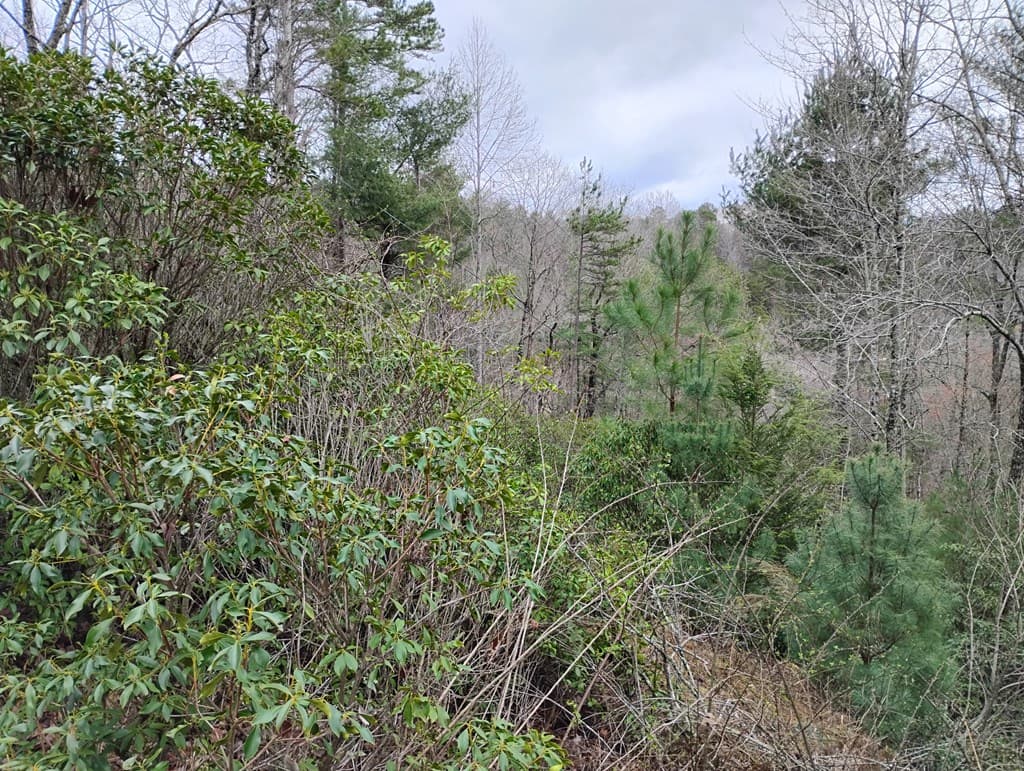 Lt 166 Shenendoa Dr., Ellijay GA 30540 - Photo