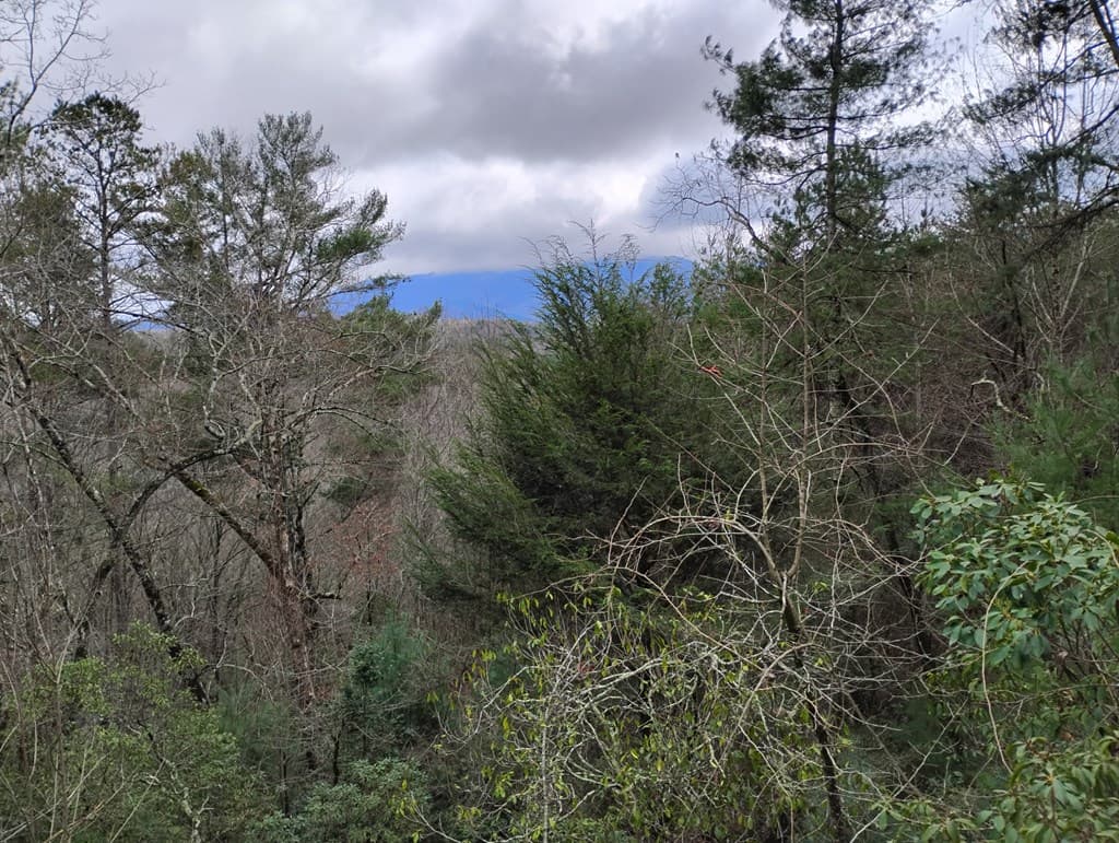Lt 166 Shenendoa Dr., Ellijay GA 30540 - Photo