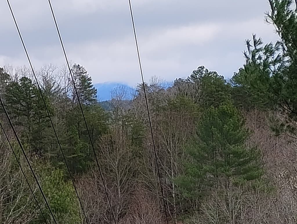 Lt 166 Shenendoa Dr., Ellijay GA 30540 - Photo