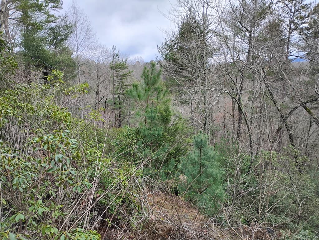 Lt 166 Shenendoa Dr., Ellijay GA 30540 - Photo