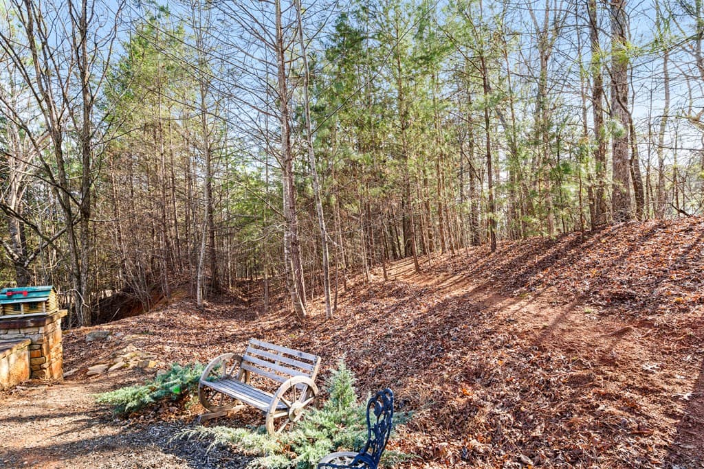 476 Licklog Ridge, Hayesville NC 28904 - Photo