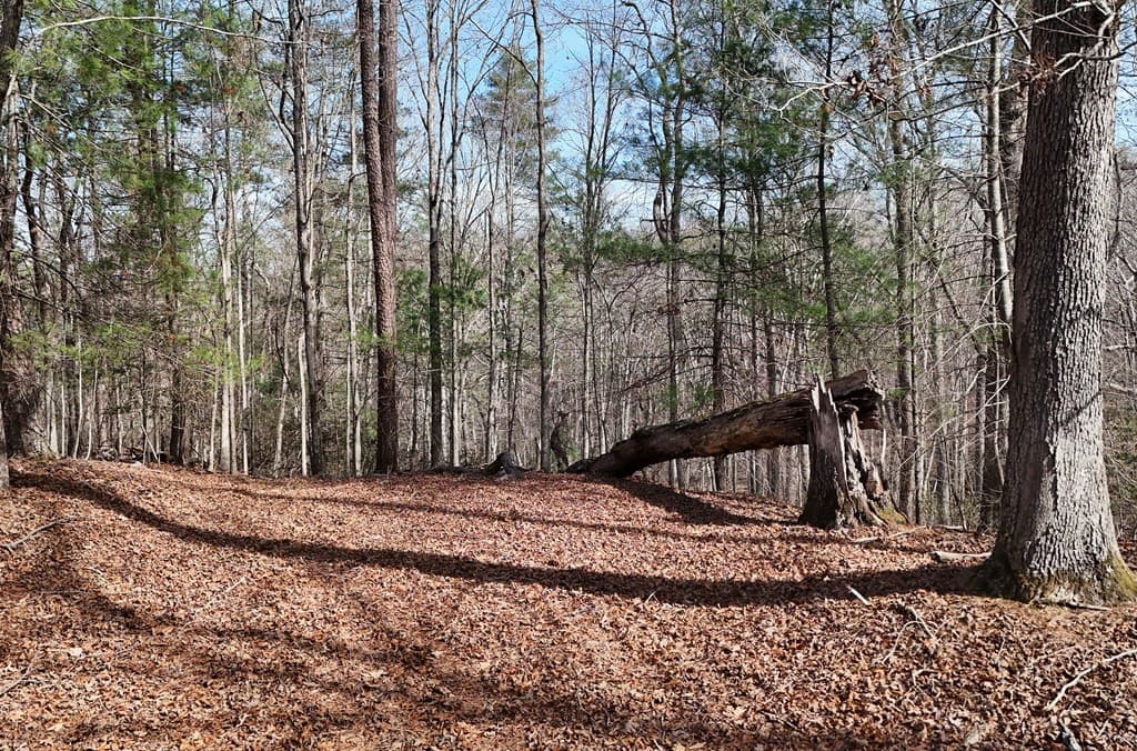 Lot #8 Casa Rio Drive, Cornelia GA 30531 - Photo