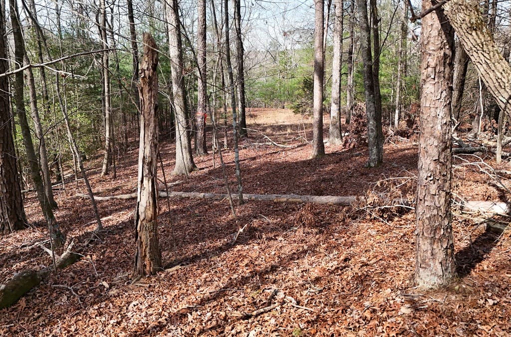 Lot #8 Casa Rio Drive, Cornelia GA 30531 - Photo