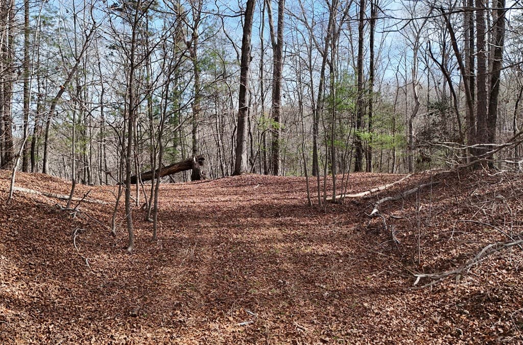 Lot #8 Casa Rio Drive, Cornelia GA 30531 - Photo