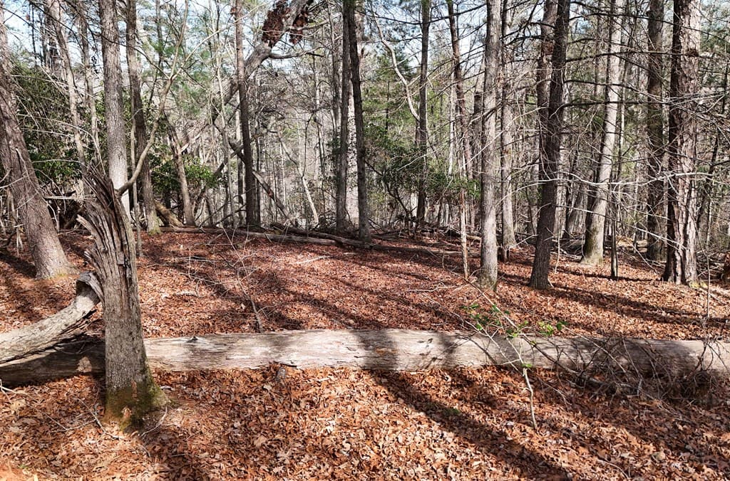 Lot #8 Casa Rio Drive, Cornelia GA 30531 - Photo