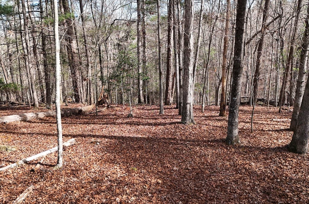 Lot #8 Casa Rio Drive, Cornelia GA 30531 - Photo