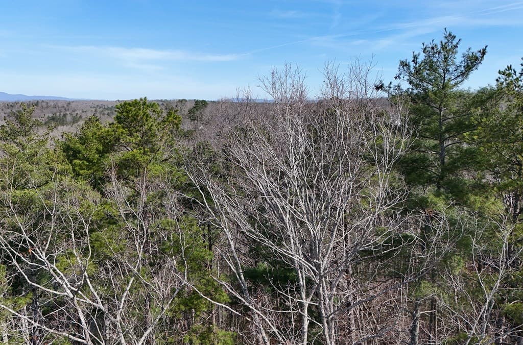 Lot #8 Casa Rio Drive, Cornelia GA 30531 - Photo
