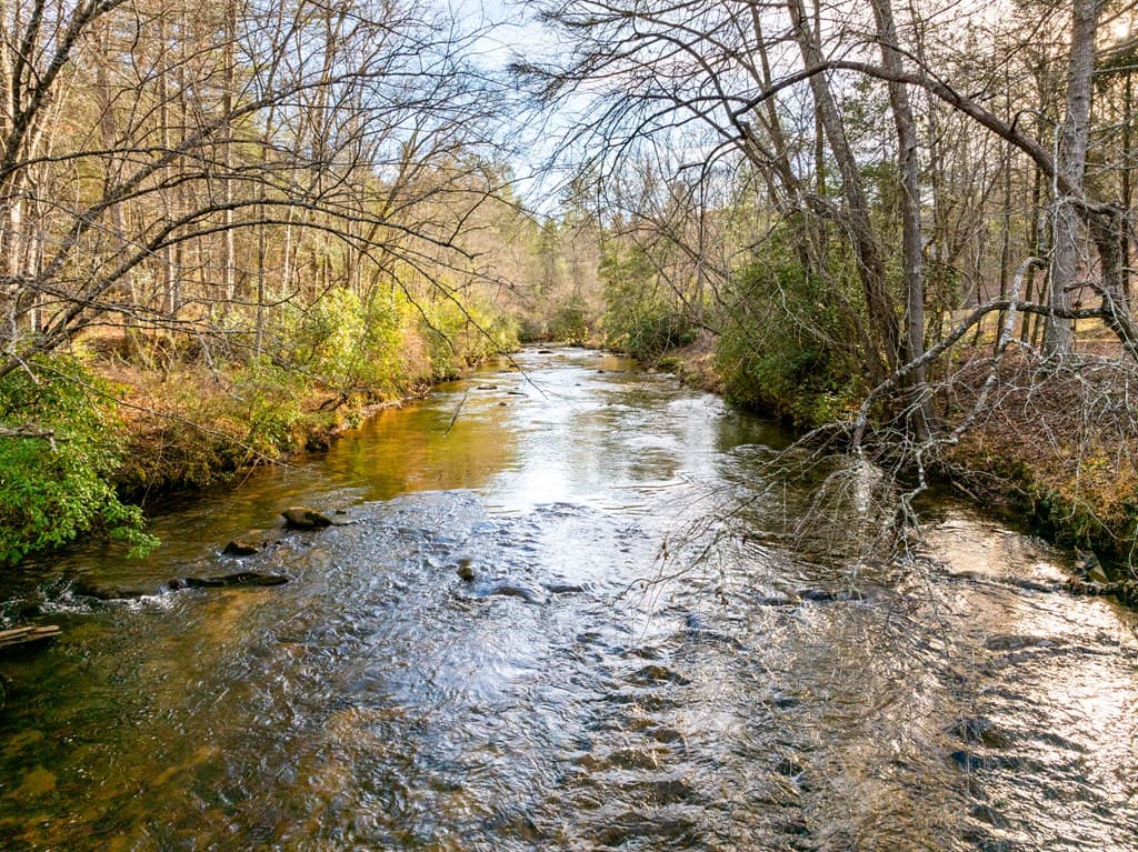 450 Miracle Lane, Blue Ridge GA 30513 - Photo