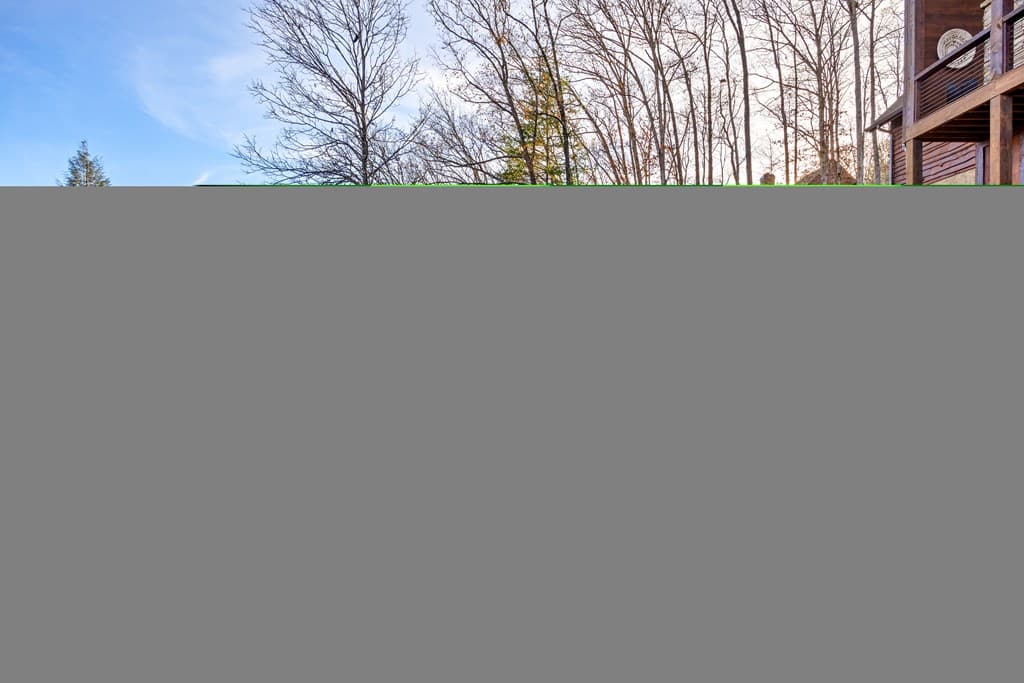 450 Miracle Lane, Blue Ridge GA 30513 - Photo