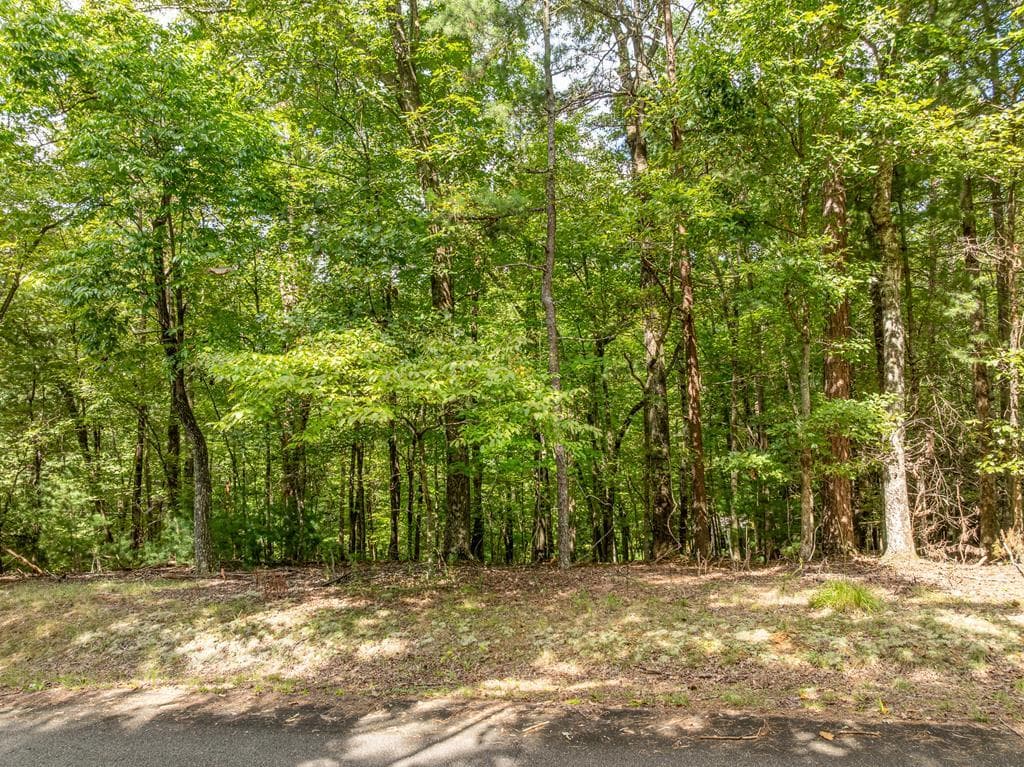 Lot 272 Seneca Drive, Ellijay GA 30540 - Photo
