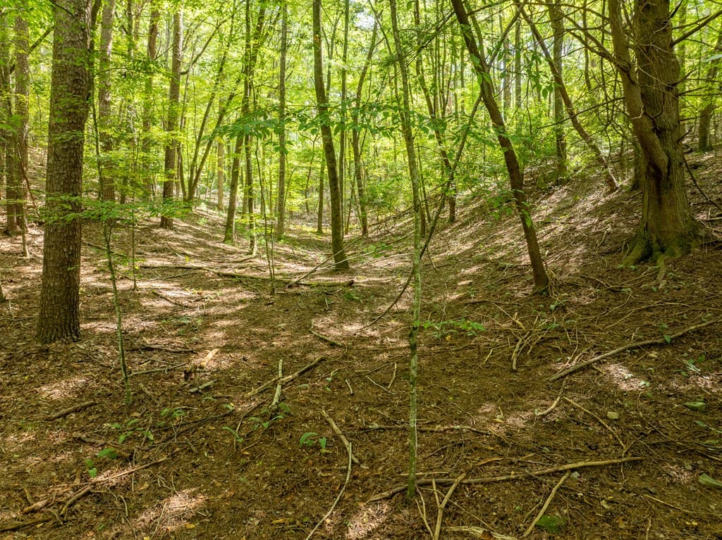 Lot 272 Seneca Drive, Ellijay GA 30540 - Photo