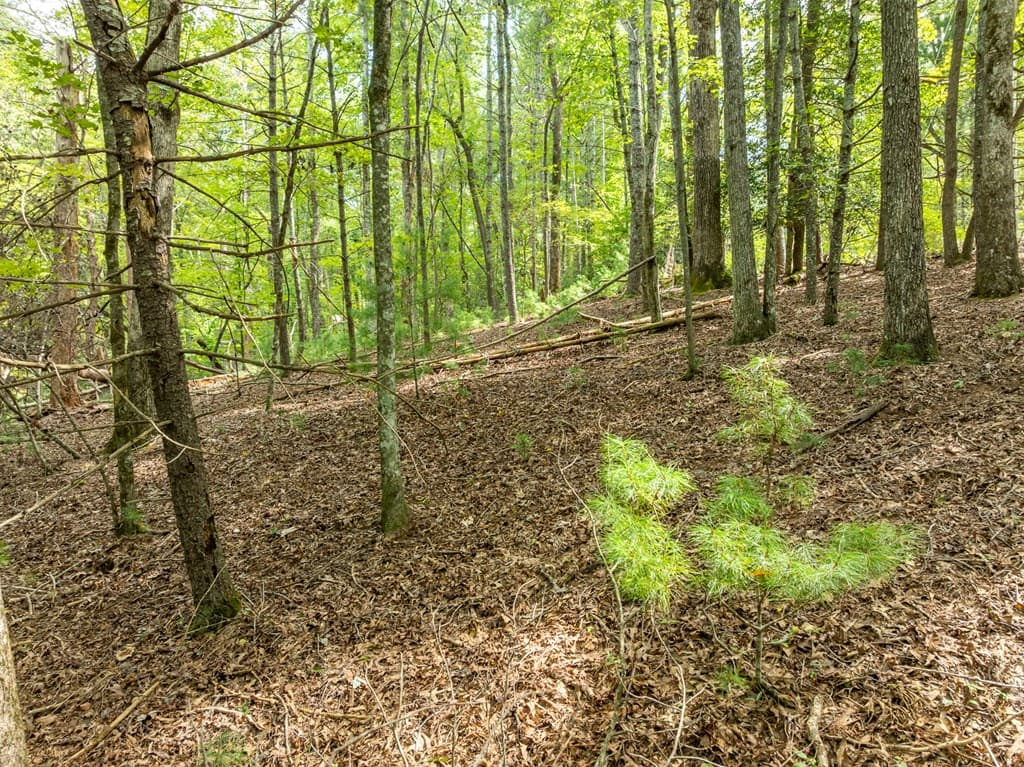 Lot 272 Seneca Drive, Ellijay GA 30540 - Photo