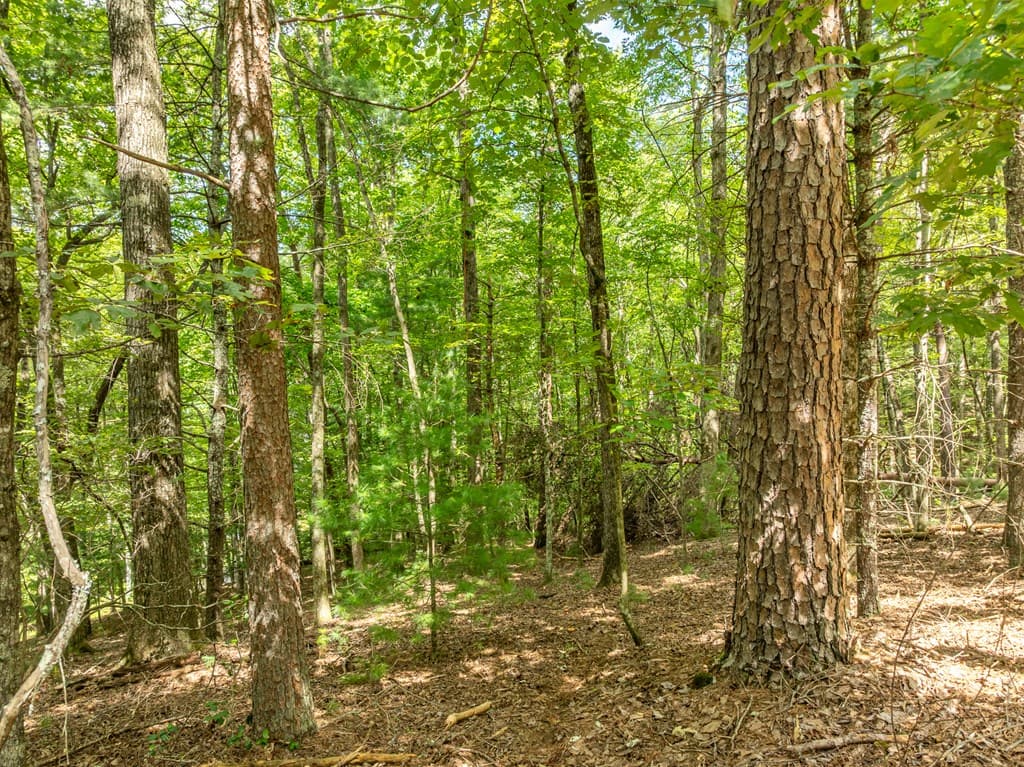 Lot 272 Seneca Drive, Ellijay GA 30540 - Photo