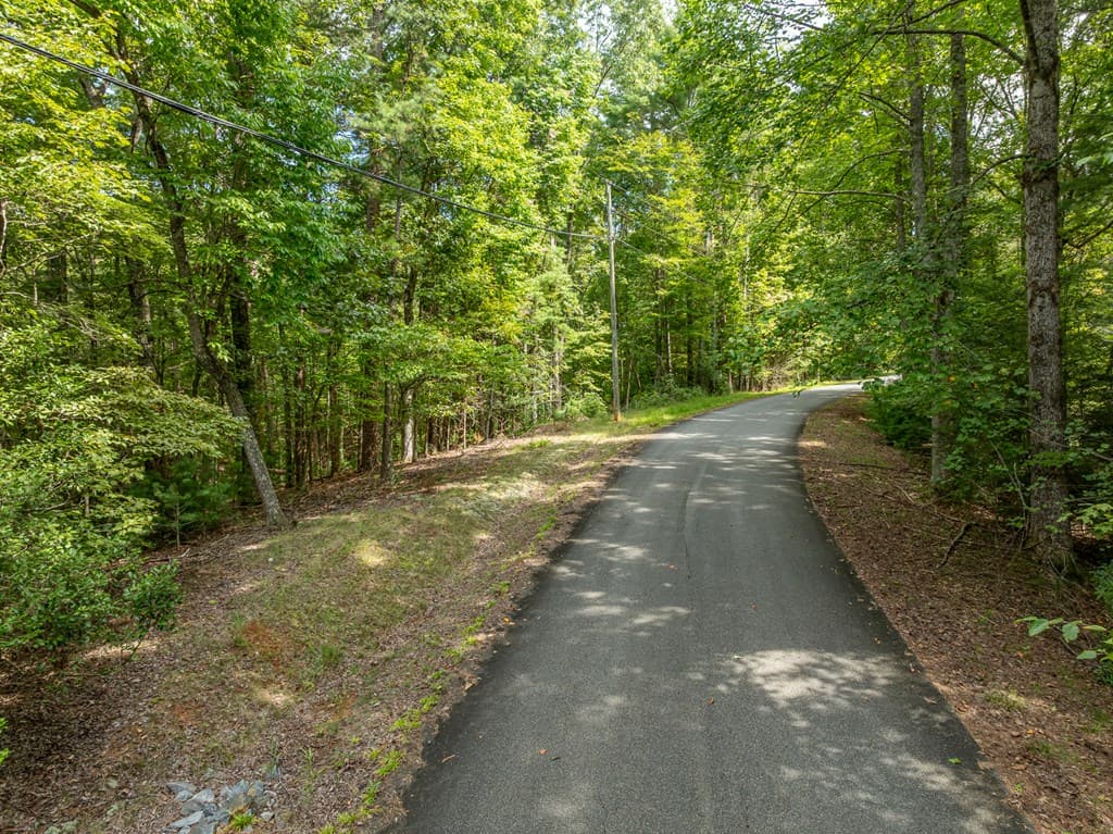Lot 272 Seneca Drive, Ellijay GA 30540 - Photo