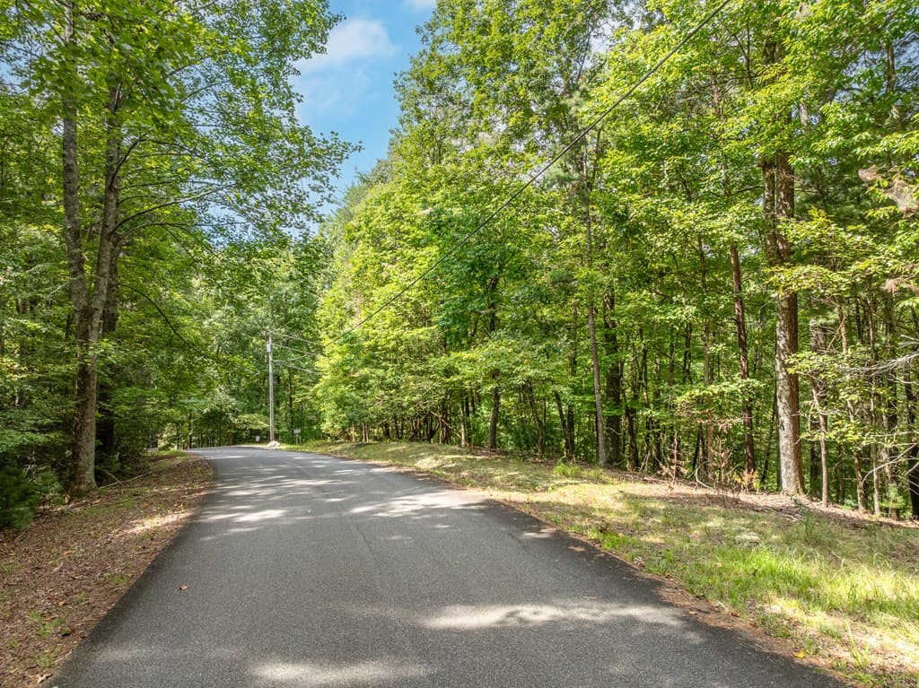 Lot 272 Seneca Drive, Ellijay GA 30540 - Photo