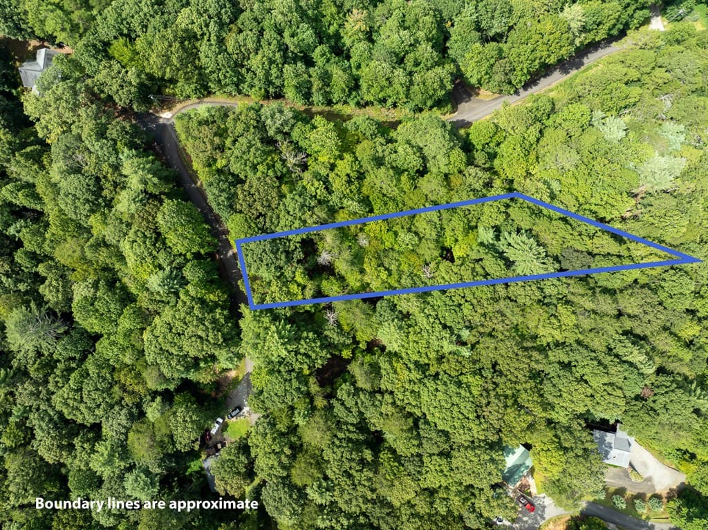 Lot 272 Seneca Drive, Ellijay GA 30540 - Photo