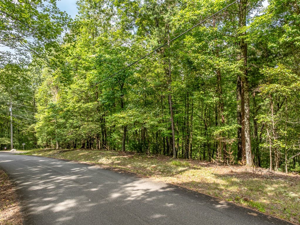 Lot 272 Seneca Drive, Ellijay GA 30540 - Photo