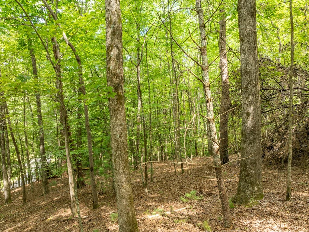 Lot 272 Seneca Drive, Ellijay GA 30540 - Photo