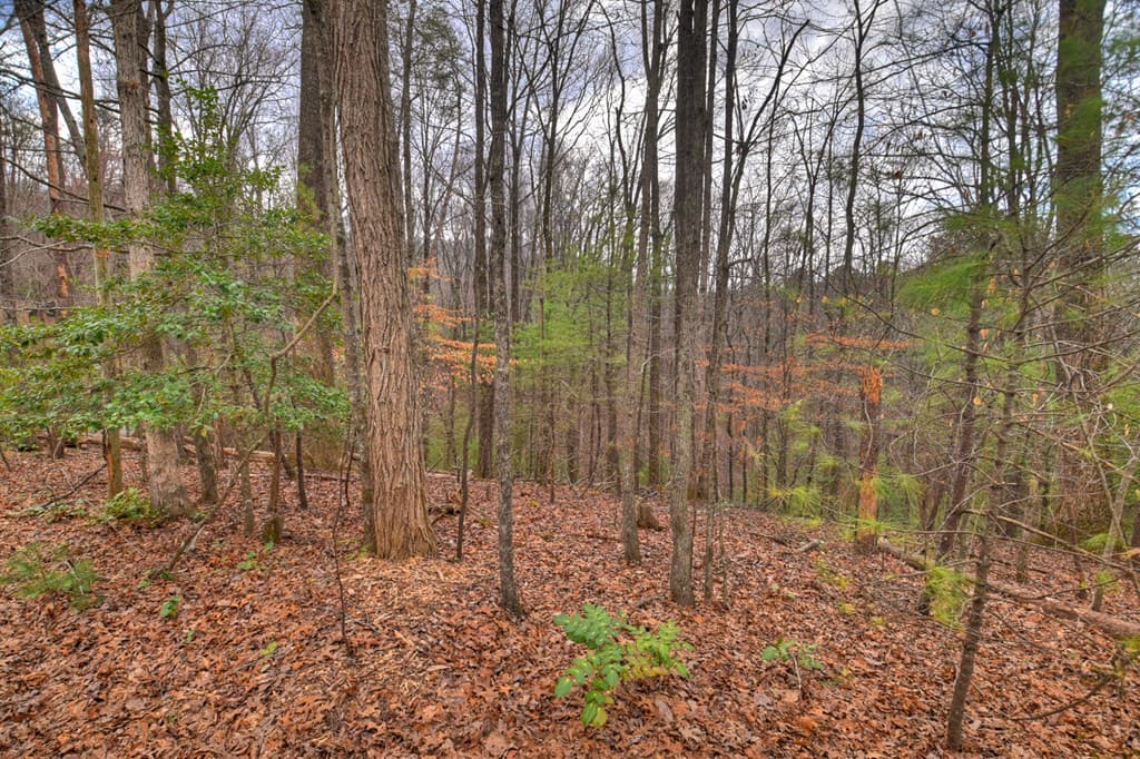 0 Ridge View Court, Ellijay GA 30536 - Photo