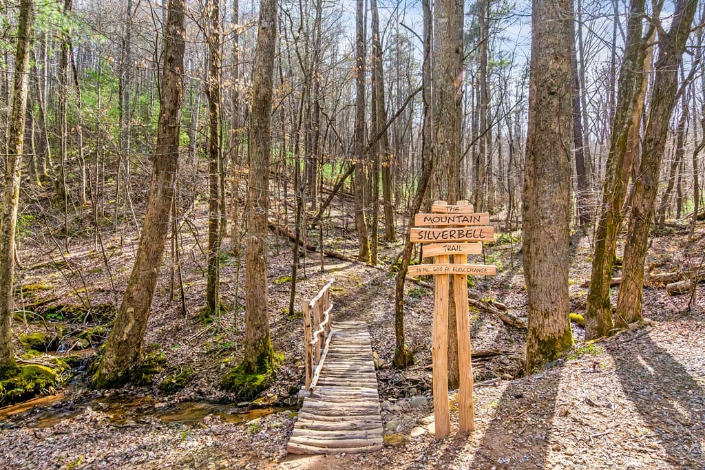 0 Ridge View Court, Ellijay GA 30536 - Photo