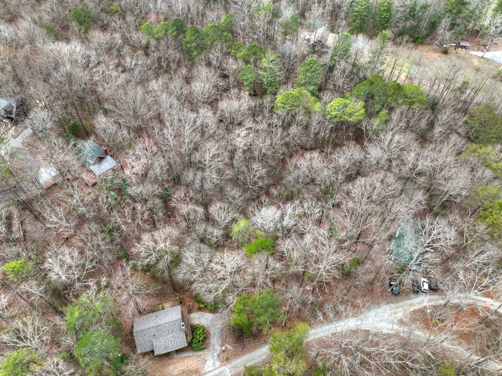 0 Ridge View Court, Ellijay GA 30536 - Photo