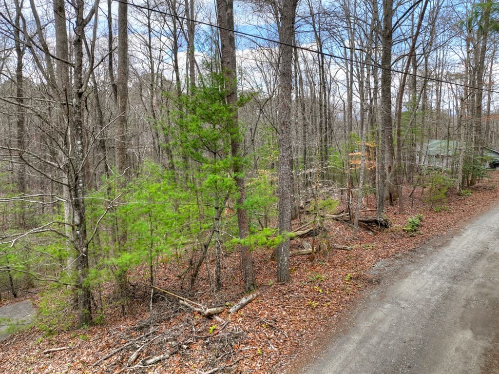 0 Ridge View Court, Ellijay GA 30536 - Photo