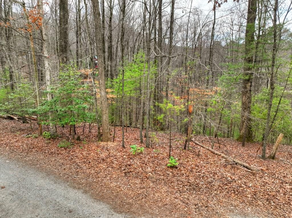 0 Ridge View Court, Ellijay GA 30536 - Primary photo