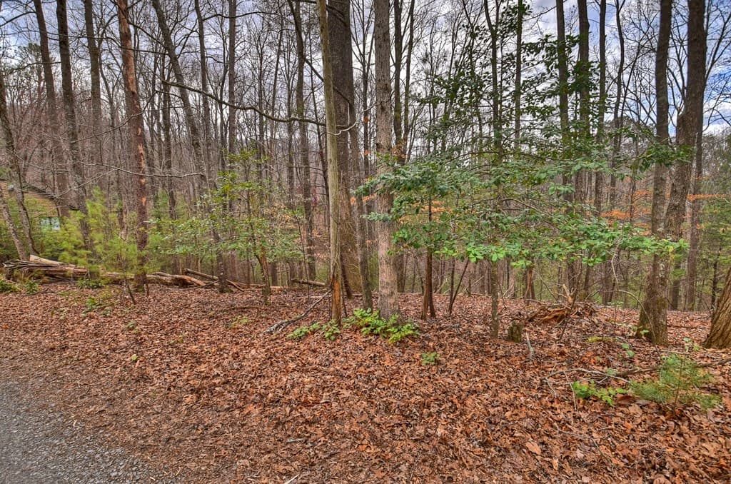 0 Ridge View Court, Ellijay GA 30536 - Photo