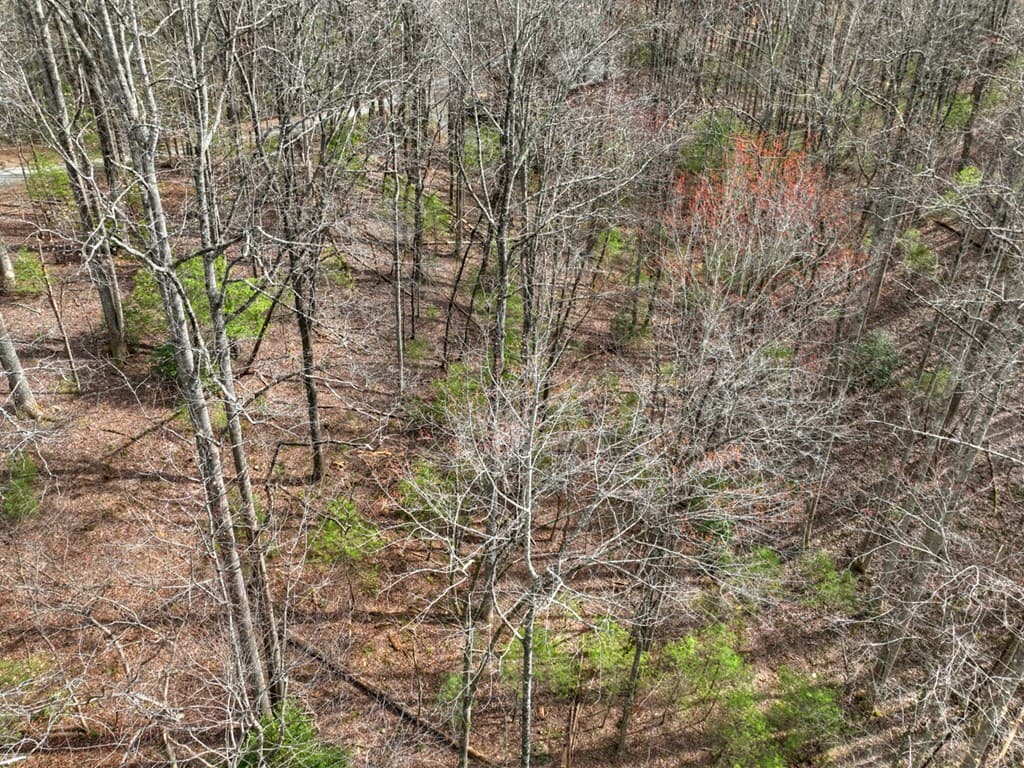 0 Ridge View Court, Ellijay GA 30536 - Photo
