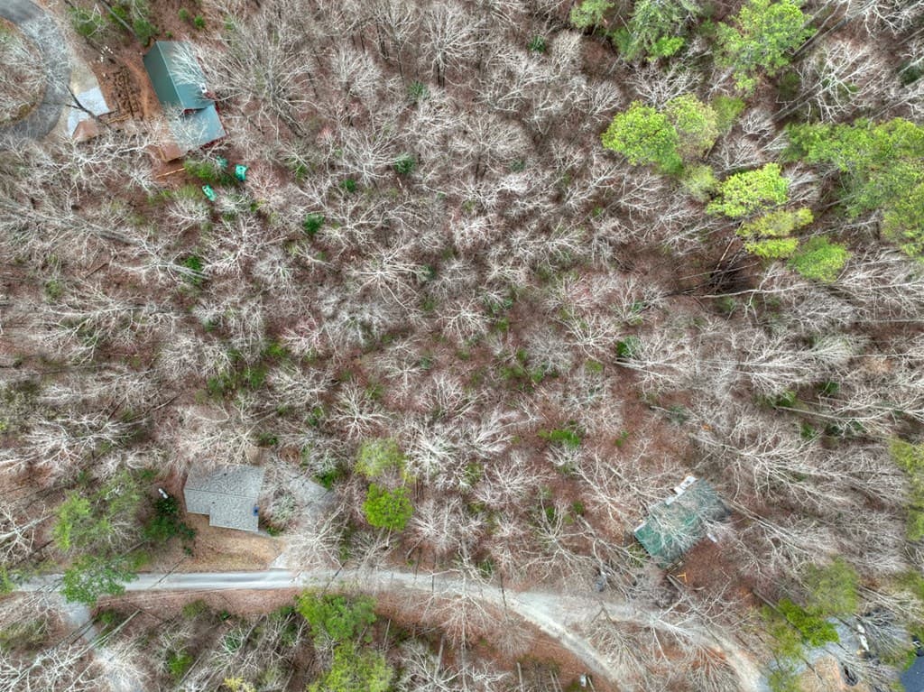 0 Ridge View Court, Ellijay GA 30536 - Photo