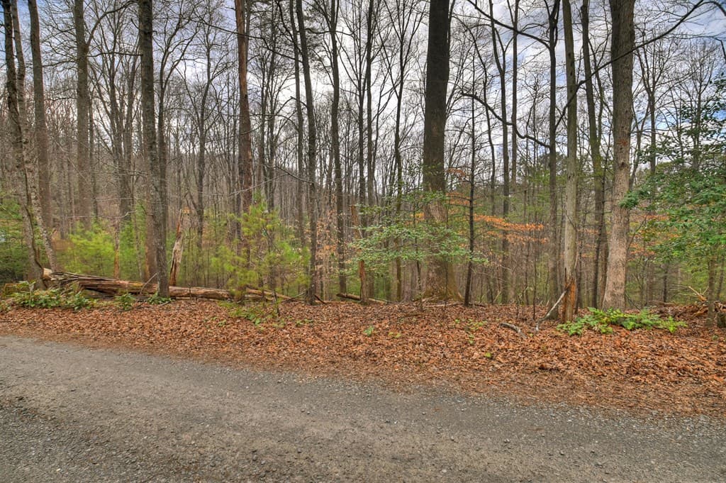 0 Ridge View Court, Ellijay GA 30536 - Photo