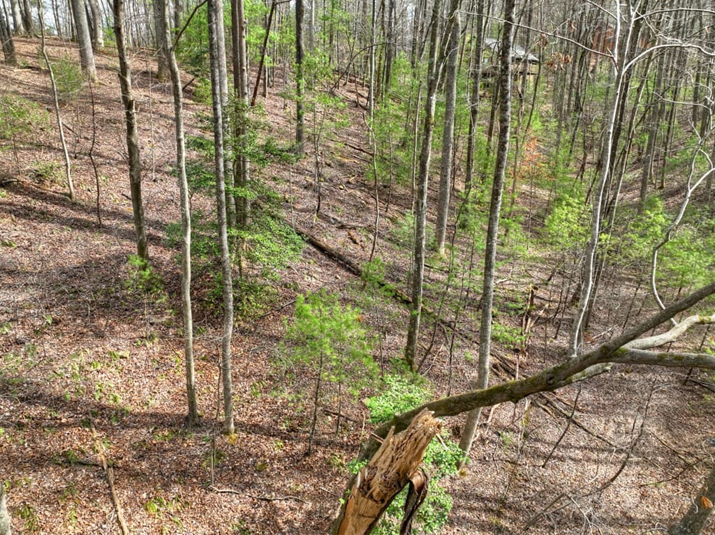 0 Ridge View Court, Ellijay GA 30536 - Photo