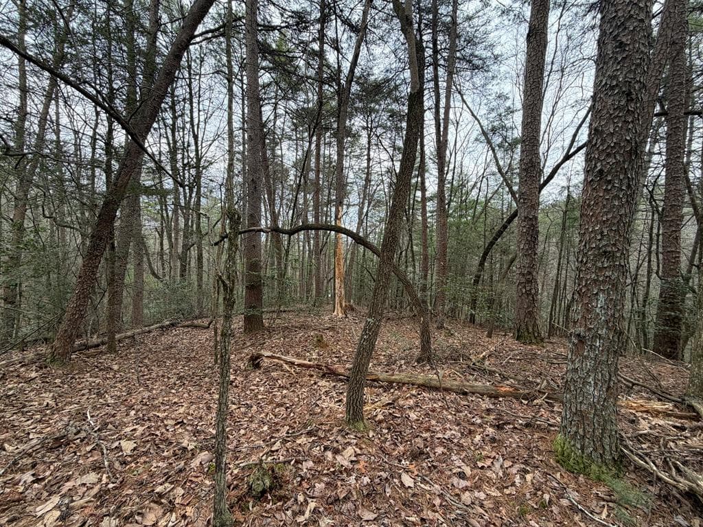 17.29 ac Pleasant Oak Trail, Ellijay GA 30540 - Photo
