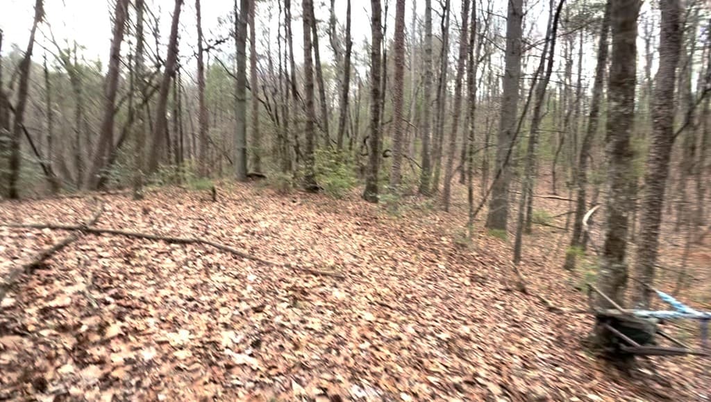 17.29 ac Pleasant Oak Trail, Ellijay GA 30540 - Photo