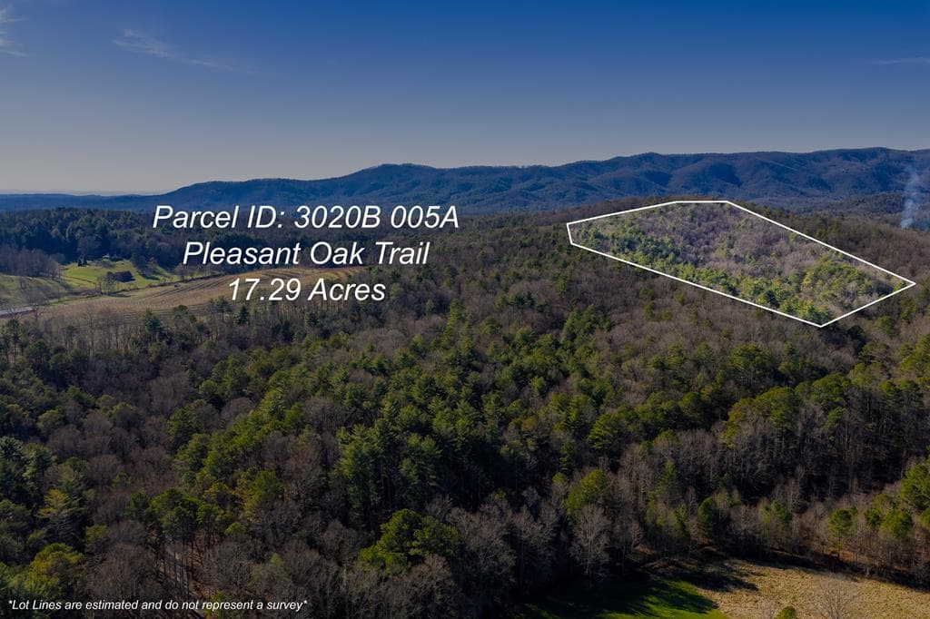 17.29 ac Pleasant Oak Trail, Ellijay GA 30540 - Primary photo