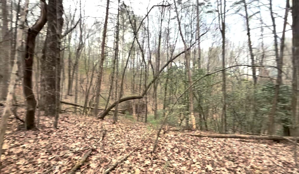 17.29 ac Pleasant Oak Trail, Ellijay GA 30540 - Photo