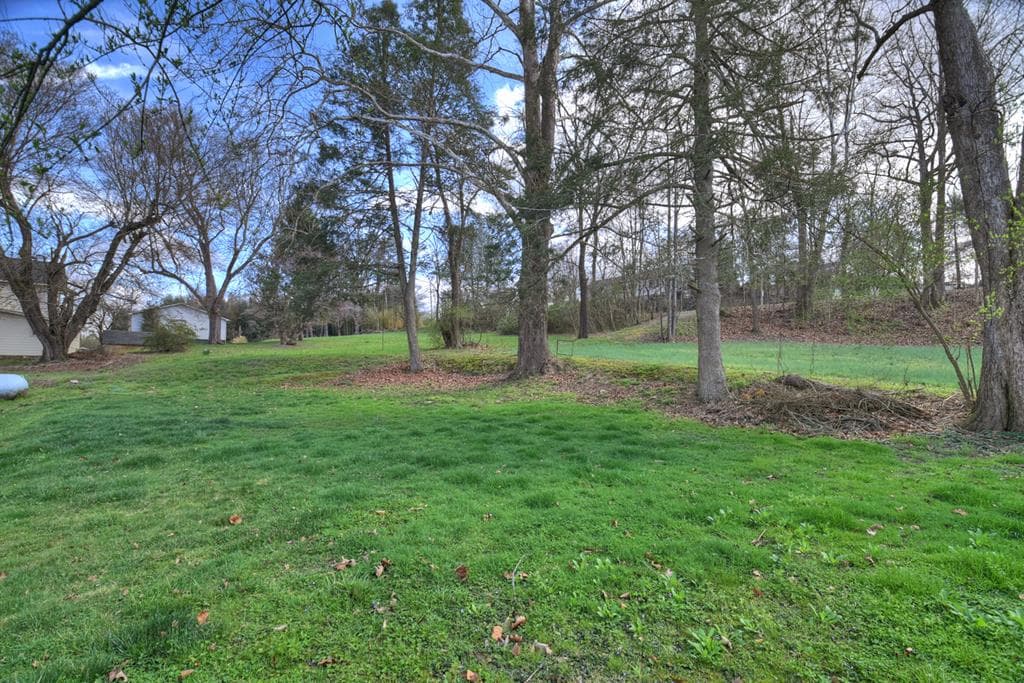 1133 E Main Street, Blue Ridge GA 30513 - Photo