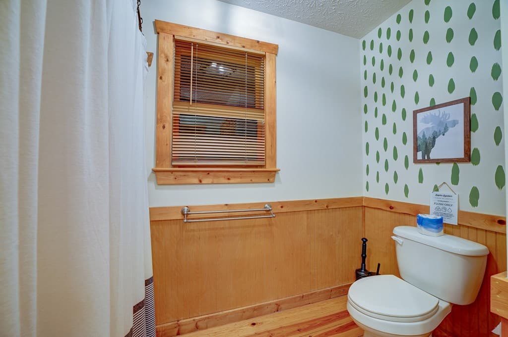 46 Pelican Drive, Ellijay GA 30540 - Photo